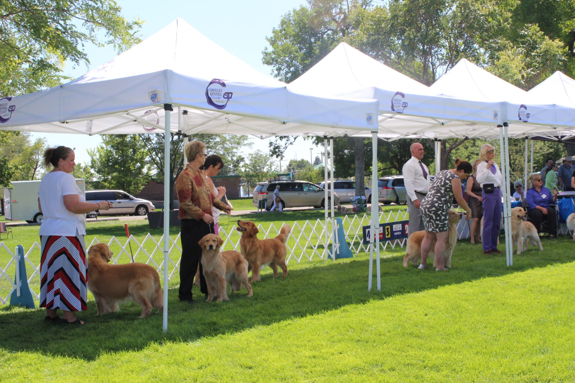 Handlers stand with their dogs under shady tents on an outdoor lawn